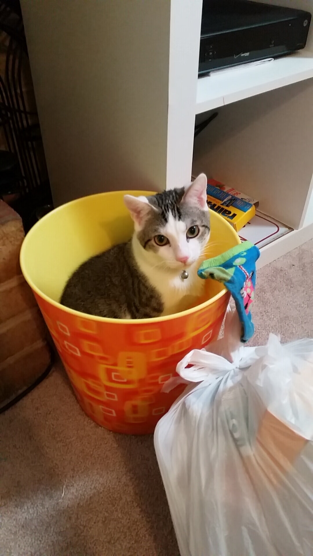 “德甲最新积分榜：势头正劲的强队迎来挑战”，德甲目前最新积分榜