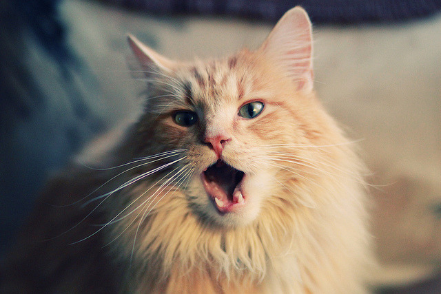 “历史经典：百年篮球的伟大时刻不容错过”，篮球的历史有多久