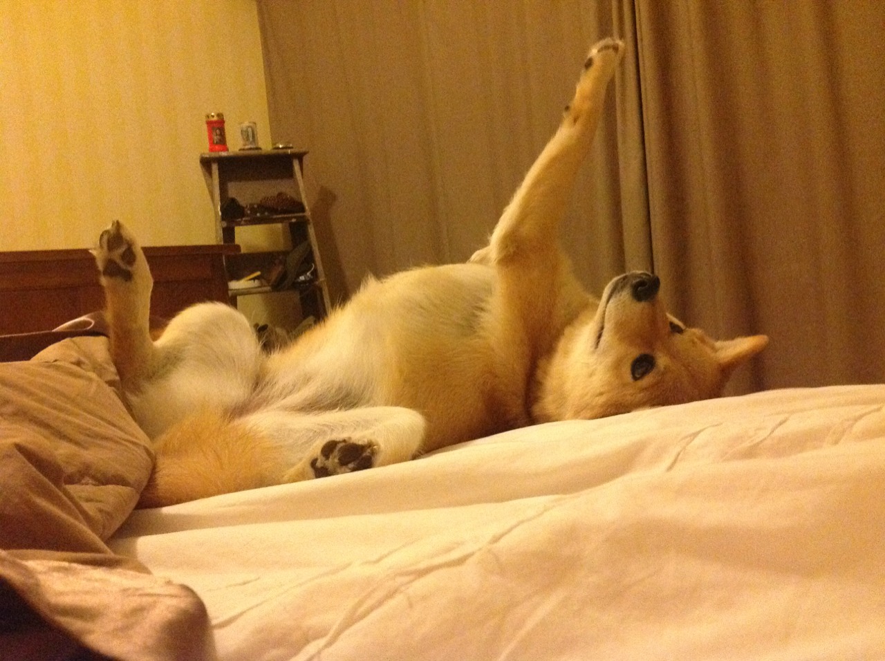 开云平台-“青春链条”青少年篮球“明星导师”公益项目在广东启动，2020广东省青少年篮球联赛