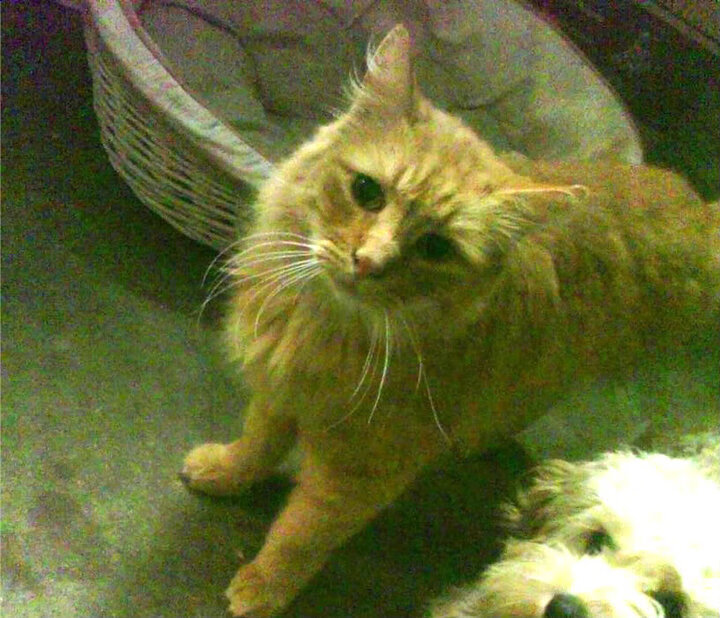 开云中国大陆-世界沙滩排球锦标赛，碧海蓝天中竞技热潮，世界沙滩排球锦标赛中每队上场选手人数为