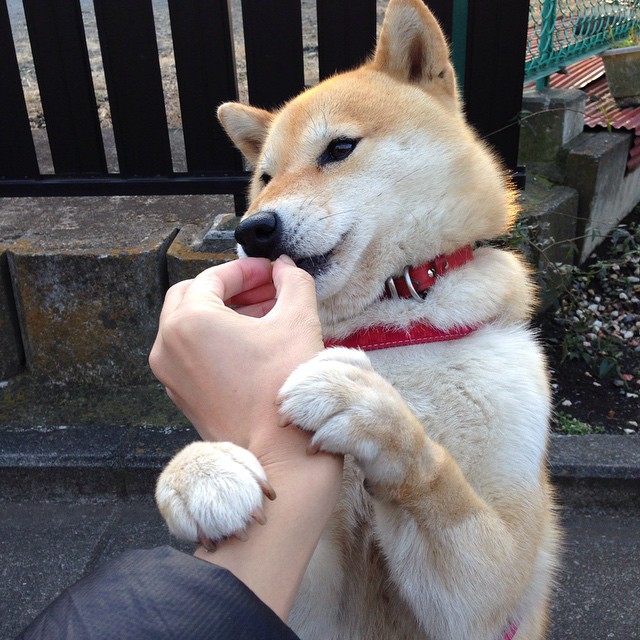 开云入口-【高手策略】奥沙利文用什么办法应对犯规判罚？，奥沙利文如果认真打球