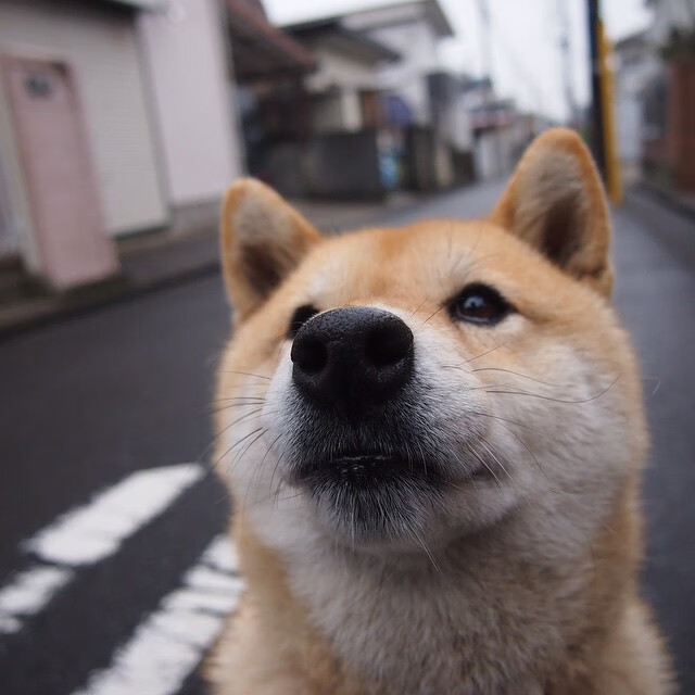 令人心碎的“败者之夜”：那些遗憾的比赛瞬间，败者组决赛是什么意思