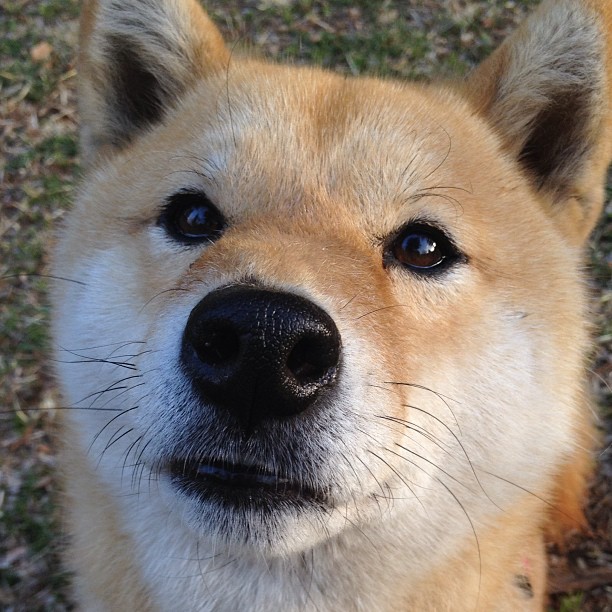 全景看比赛：利用VR欣赏台球精彩瞬间，vr 台球