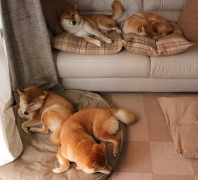 女子足球联赛冠军争夺激烈，赛季进入决胜阶段，2021女子足球联赛