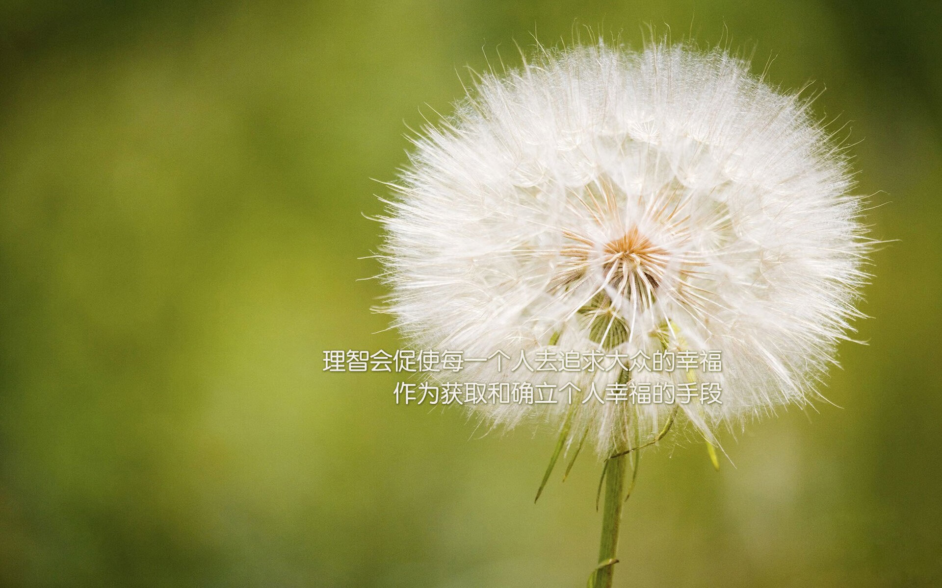 kaiyun官方网站-日本足球，再次让世界侧目！，浅谈日本足球