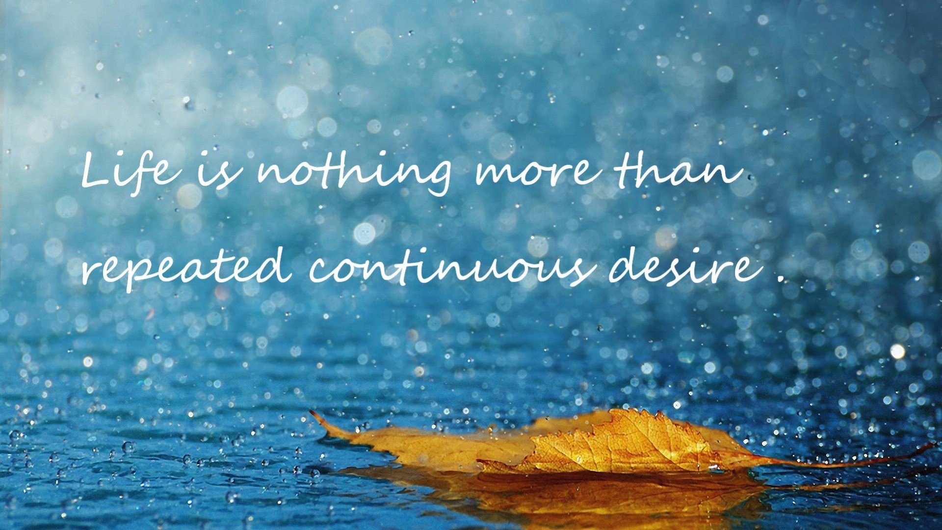 欧冠“奇迹夜”：那些令人惊叹的逆转瞬间，欧冠决赛逆转奇迹