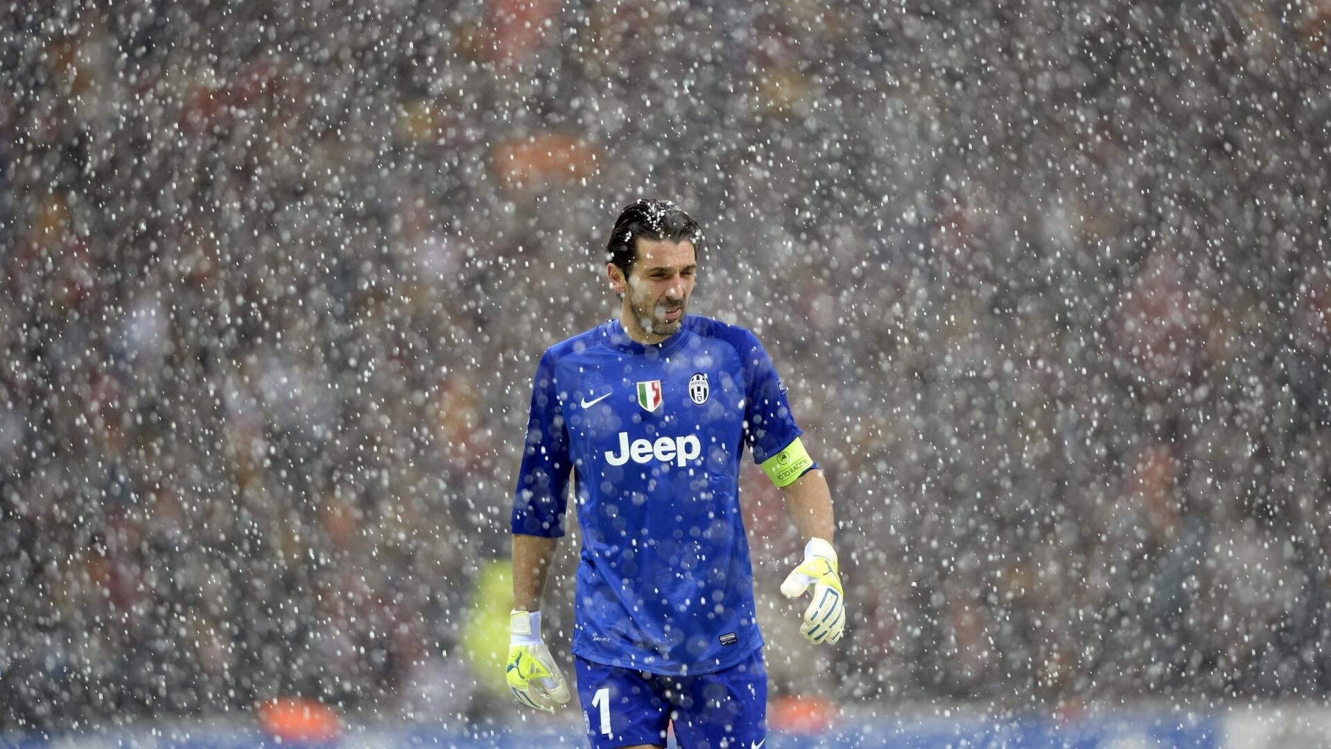 澳大利亚游泳队在奥运会中表现强劲