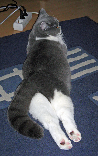 特色户外拓展运动,提升团队合作能力,团队户外拓展的意义