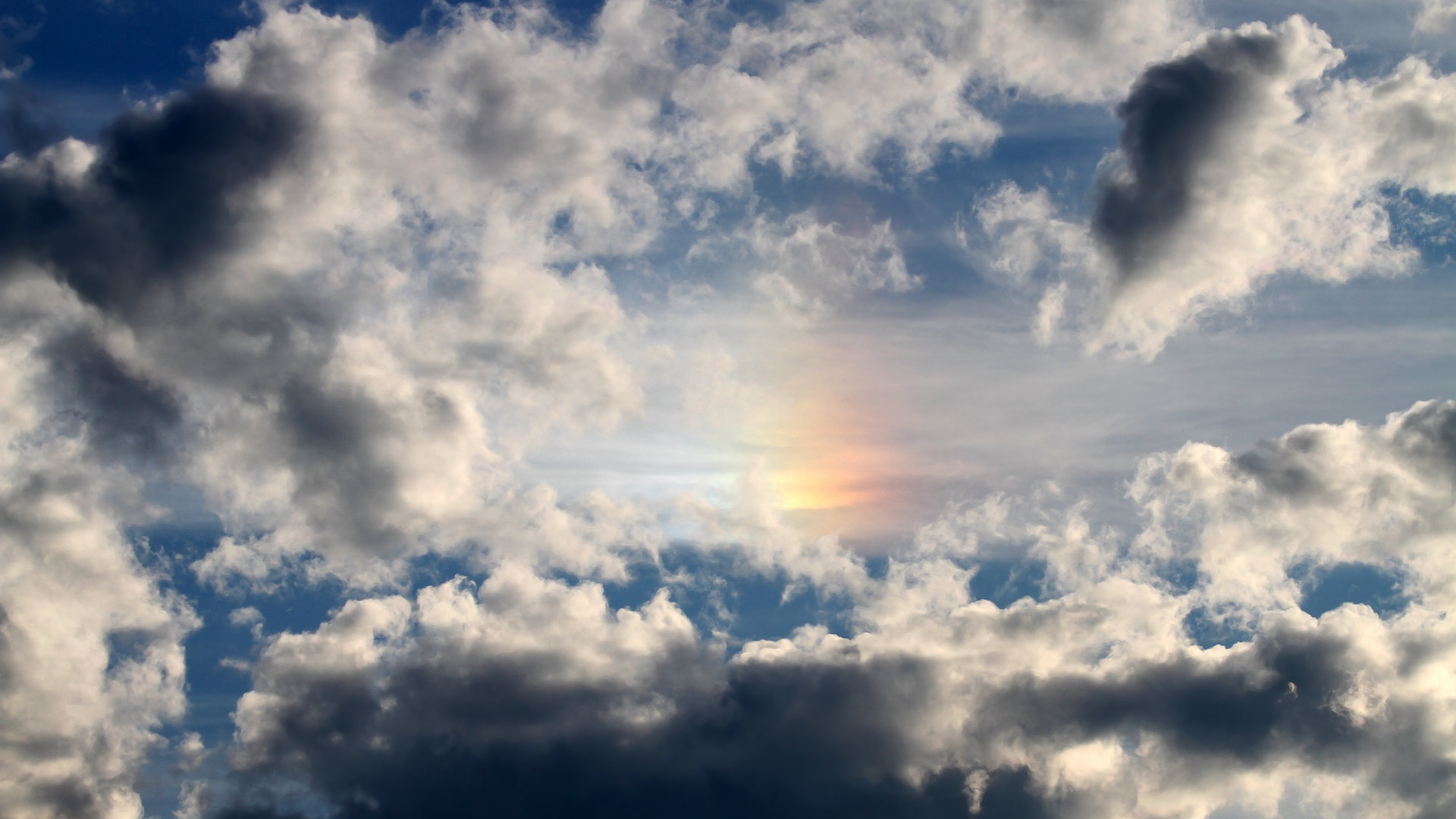 球场内外的故事:NBA球员的公益事业持续升温,nba球员场外收入