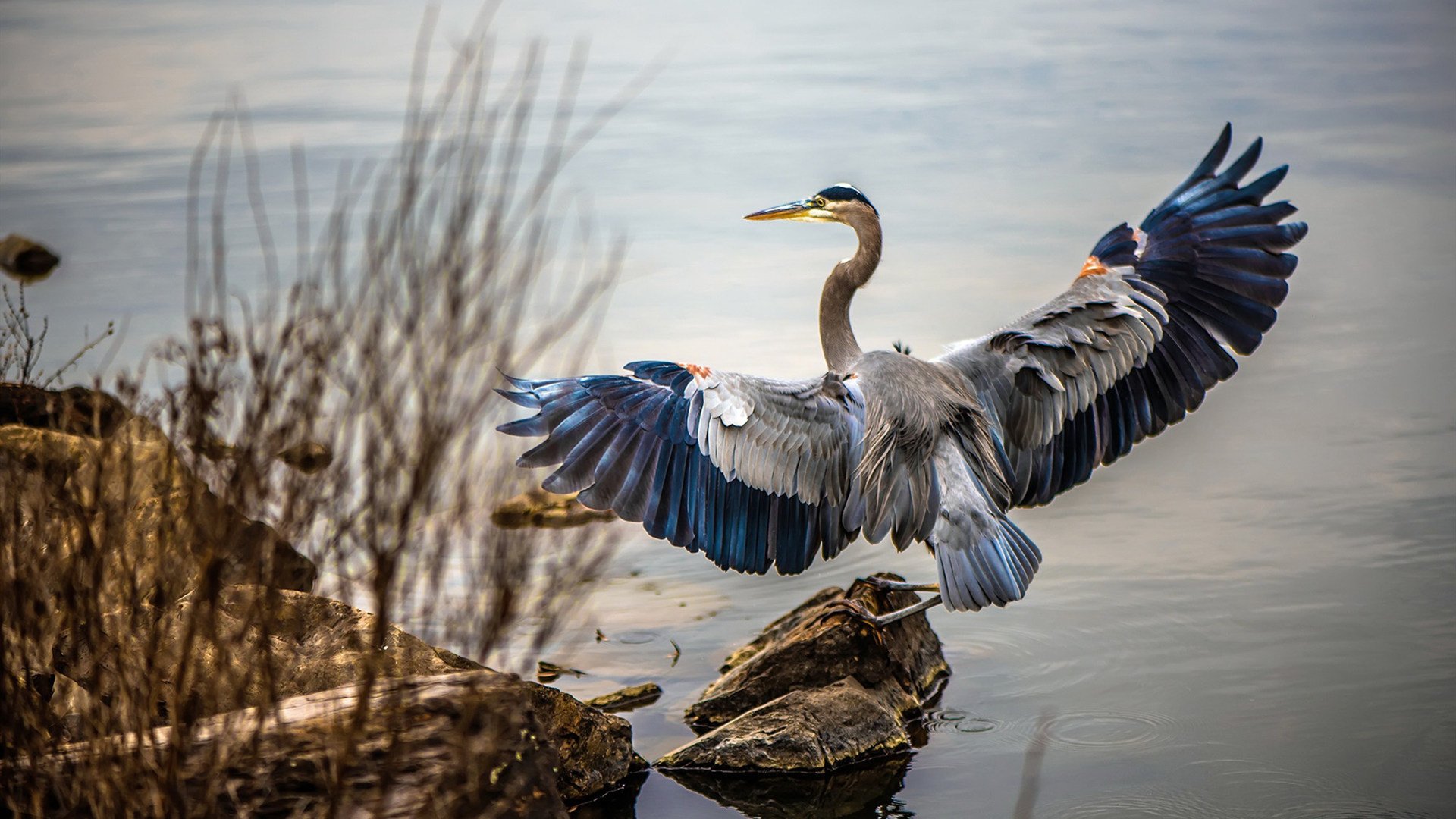 篮球职业联赛技术裁判系统完善,篮球裁判管理