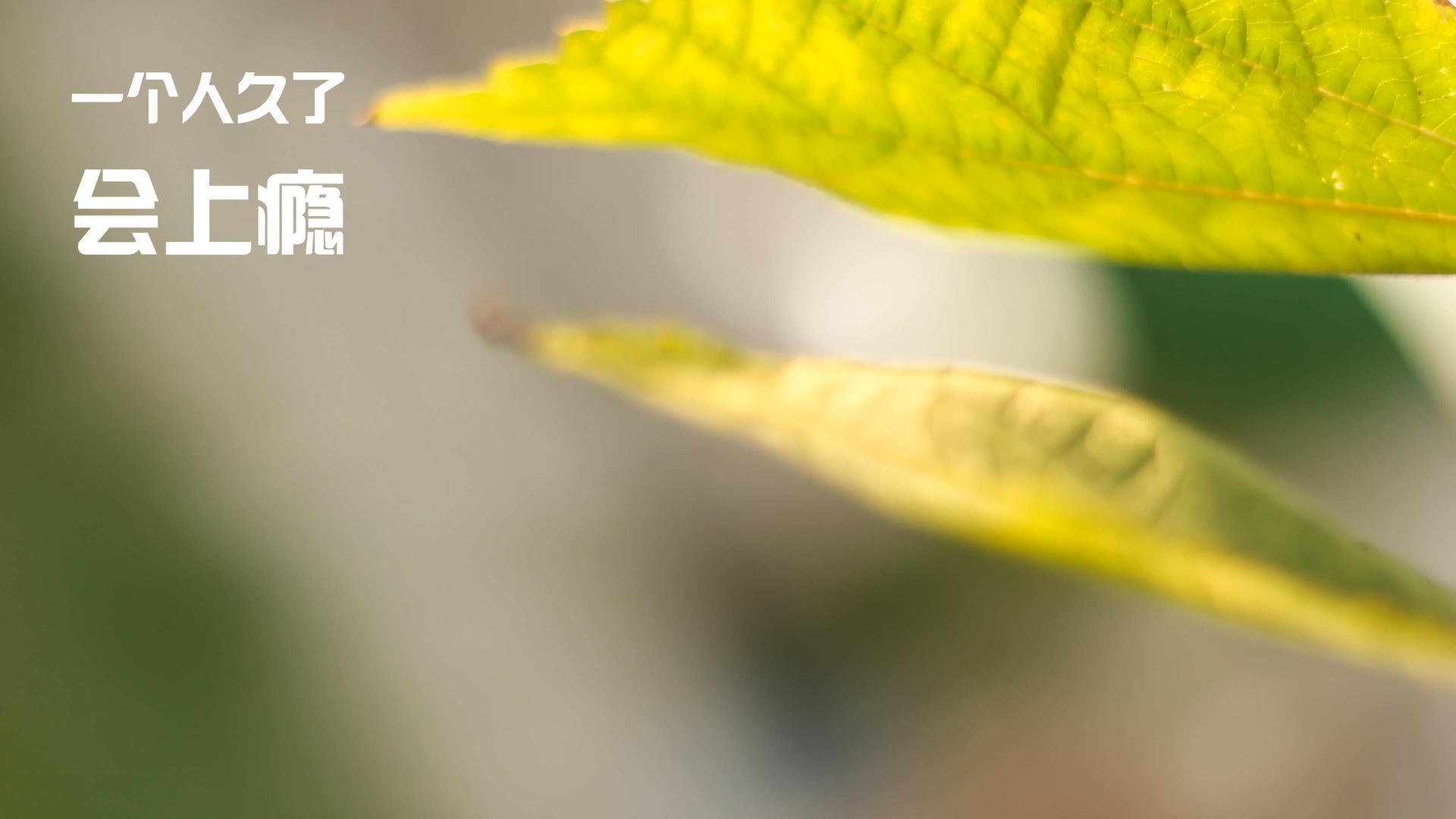 开云入口-篮球青训体系引进国际先进训练方法，篮球 青训