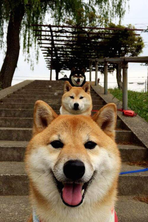 魔术队榜眼秀入选全明星,刷新队史最快纪录,魔术队全名