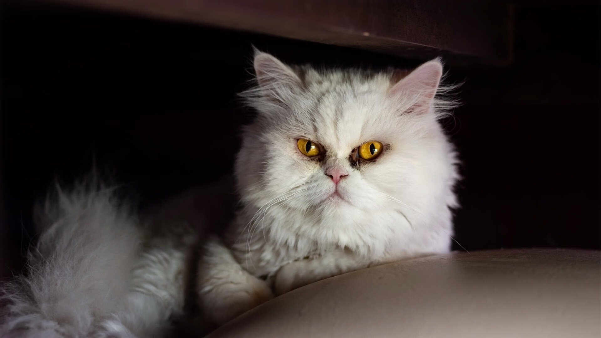 克罗地亚战平北爱尔兰，小组出线悬念，克罗地亚战场